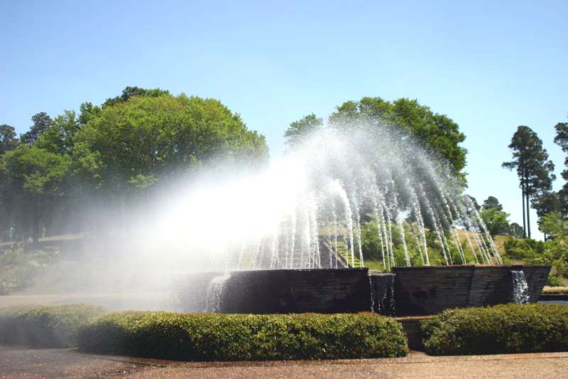 Hodges Gardens State Park Toledo Bend Lake