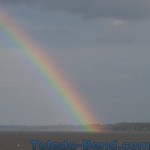Rainbow Toledo Bend Lake