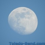 DSCN1271.JPG