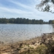 Great Waterfront 3.02 deeded acres – 4.07 waterfront leased!
